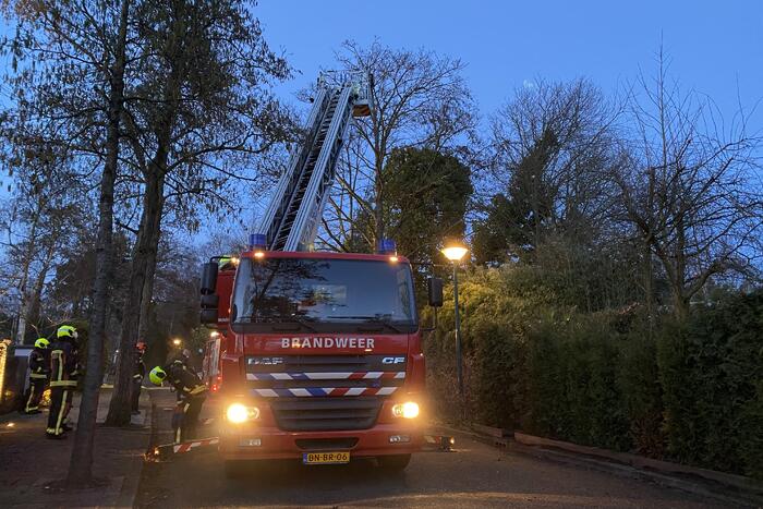 Brandweer zet boom vast met spanbanden