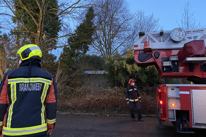 Brandweer zet boom vast met spanbanden