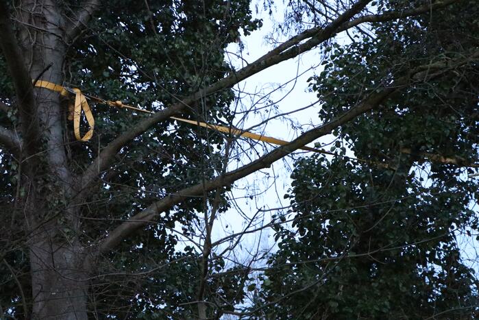 Brandweer zet boom vast met spanbanden