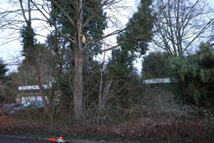 Brandweer zet boom vast met spanbanden