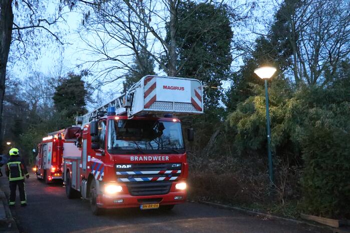 Brandweer zet boom vast met spanbanden