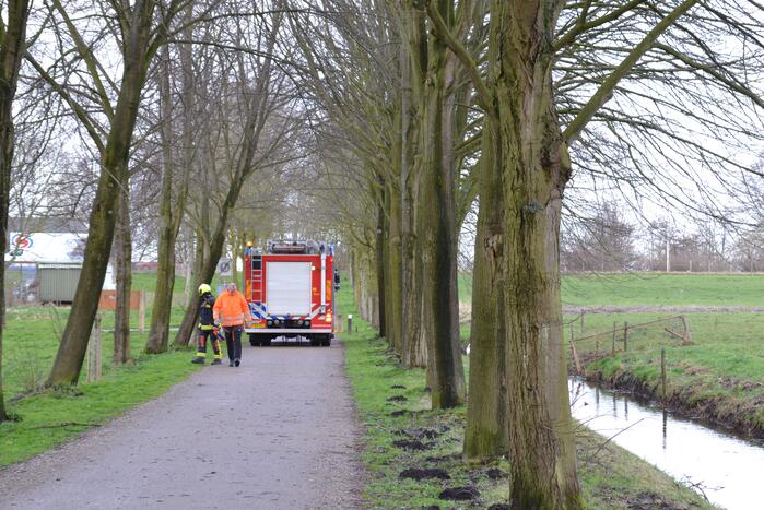 Gevaarlijke boom vakkundig ingehaald