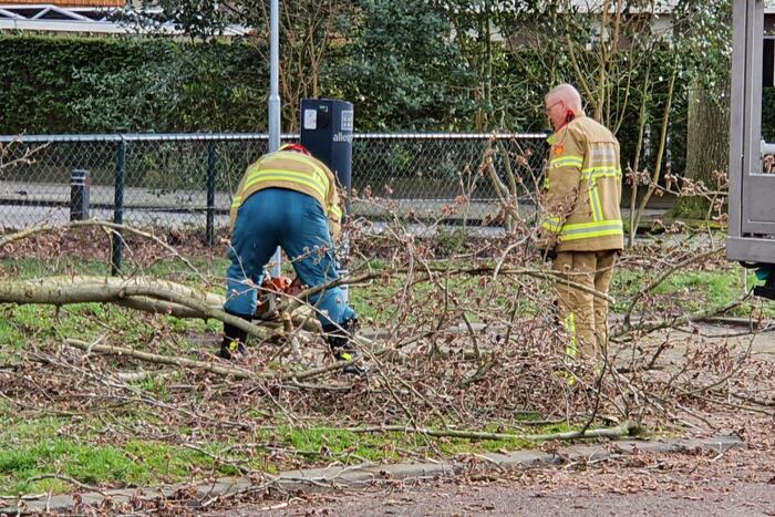 Brandweer zaagt gevaarlijk hangende tak uit boom