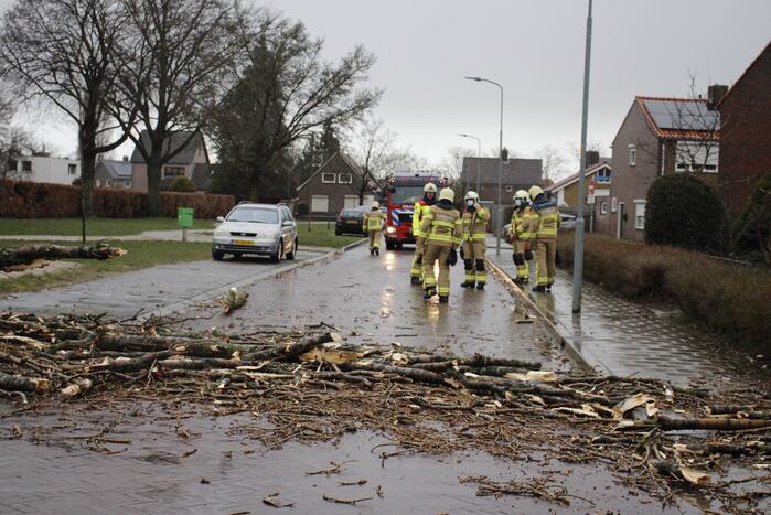 Grote boom valt over weg