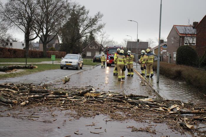 Grote boom valt over weg