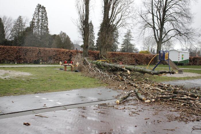 Grote boom valt over weg