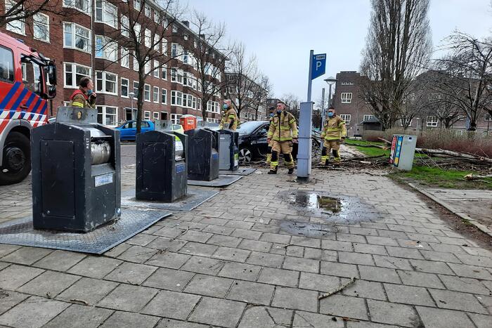 Grote tak breekt af en valt op auto