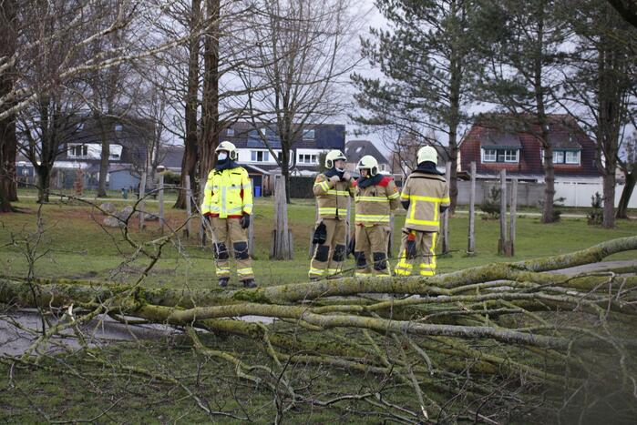 Brandweer zaagt boom in stukken