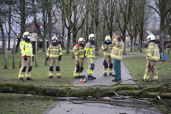 Brandweer zaagt boom in stukken