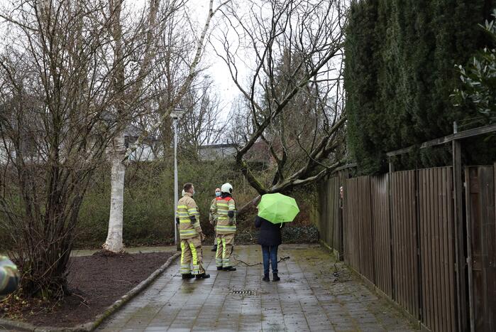 Brandweer zaagt omgevallen boom in stukken