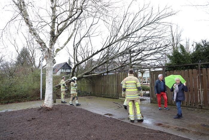 Brandweer zaagt omgevallen boom in stukken