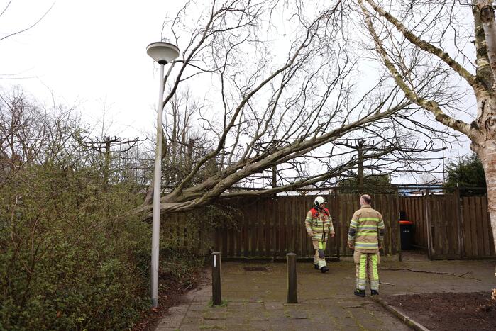 Brandweer zaagt omgevallen boom in stukken