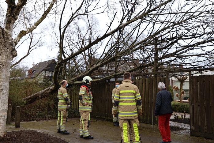 Brandweer zaagt omgevallen boom in stukken