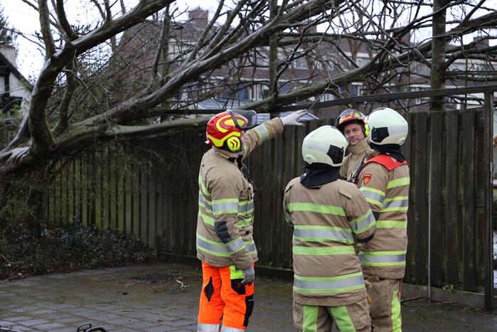 Brandweer zaagt omgevallen boom in stukken