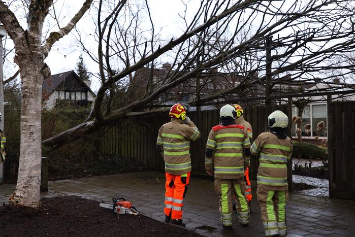 Brandweer zaagt omgevallen boom in stukken