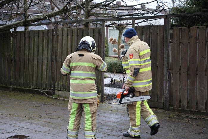 Brandweer zaagt omgevallen boom in stukken