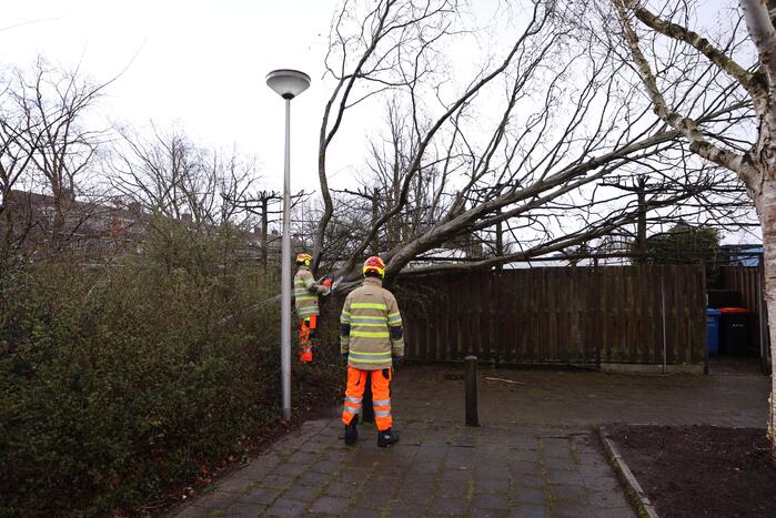 Brandweer zaagt omgevallen boom in stukken