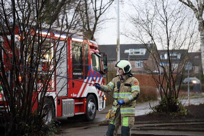 Brandweer zaagt omgevallen boom in stukken