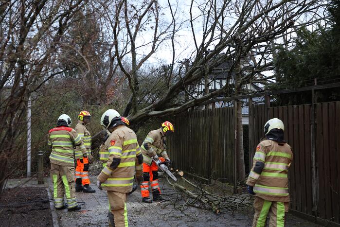 Brandweer zaagt omgevallen boom in stukken