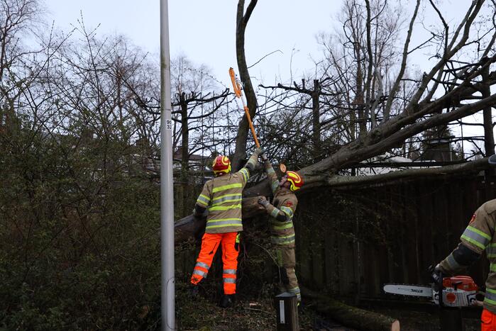 Brandweer zaagt omgevallen boom in stukken
