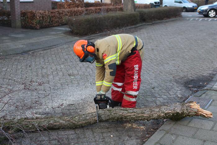 Brandweer haalt hangende tak weg