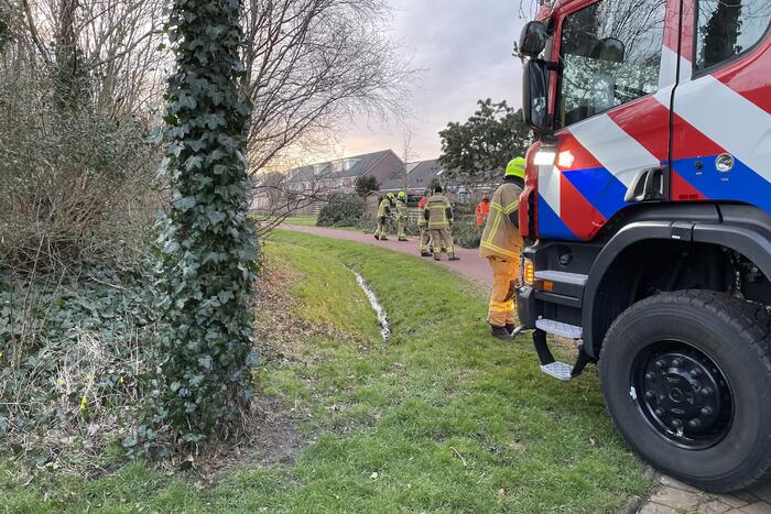 Boom dreigt om te vallen