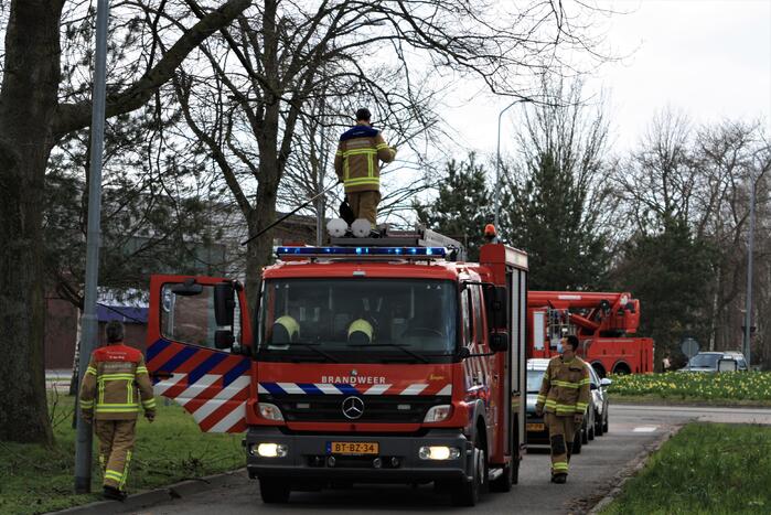 Gevaarlijk hangende tak verwijderd