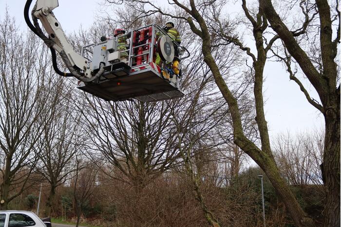 Gevaarlijk hangende tak door brandweer verwijderd