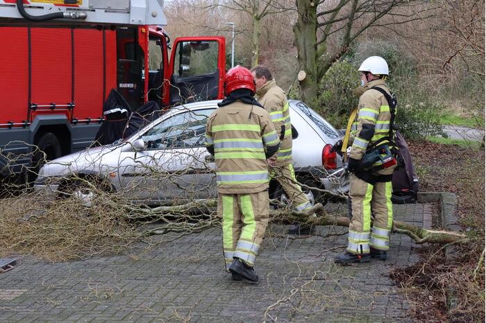 Gevaarlijk hangende tak door brandweer verwijderd