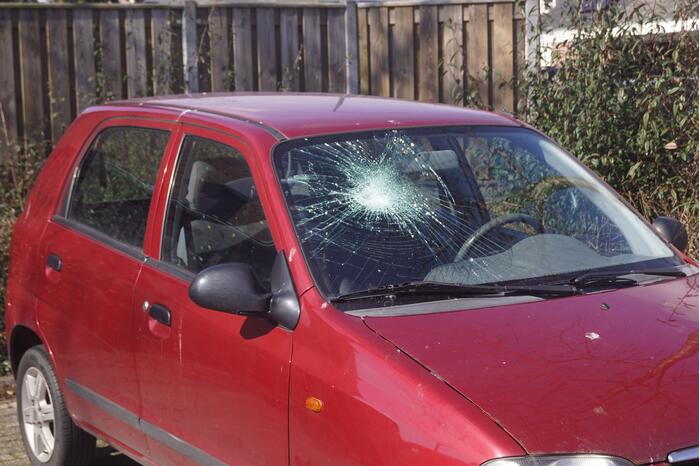 Auto's vernield op parkeerplaats