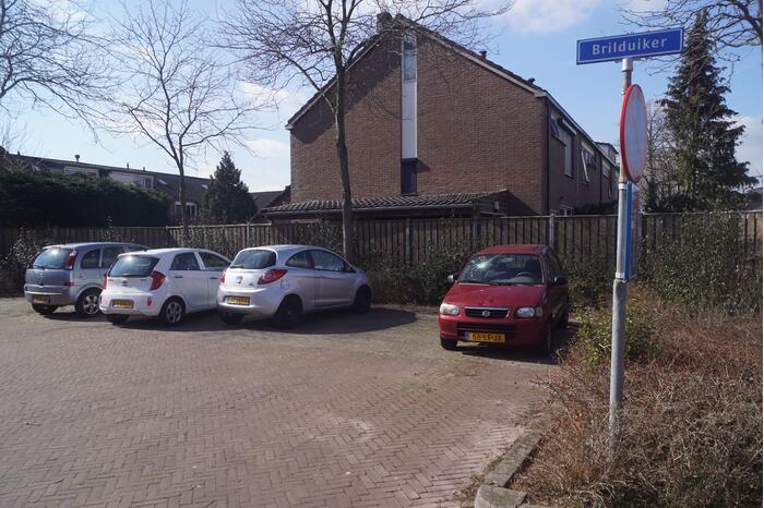 Auto's vernield op parkeerplaats