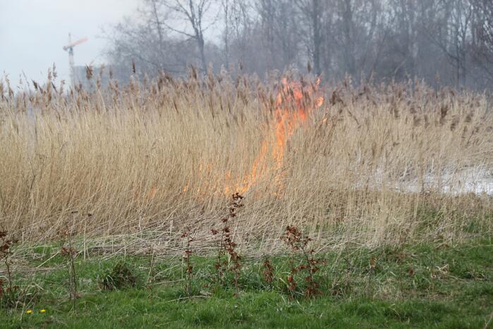 Stuk riet Meridiaanpark in brand
