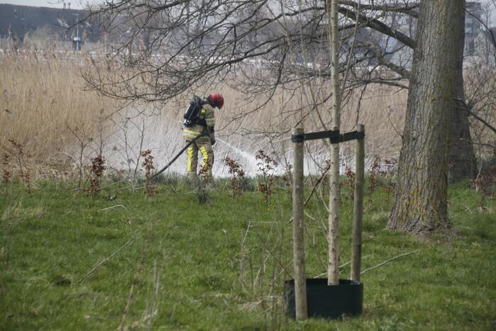 Stuk riet Meridiaanpark in brand