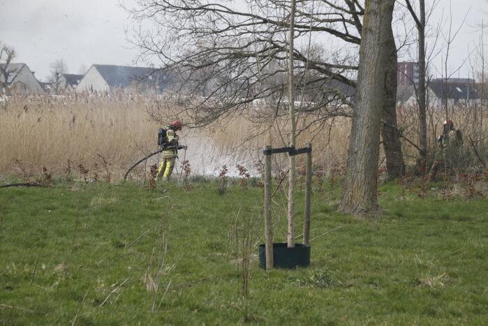 Stuk riet Meridiaanpark in brand