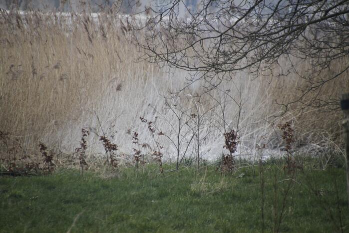 Stuk riet Meridiaanpark in brand