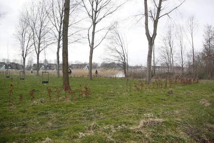 Stuk riet Meridiaanpark in brand