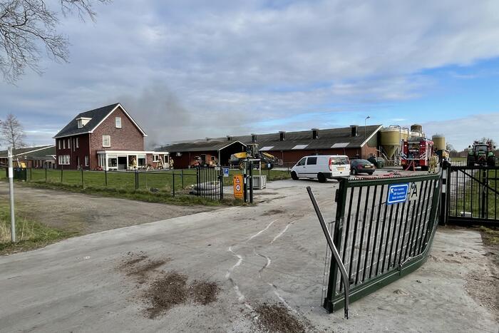 Grote brand in varkensstal