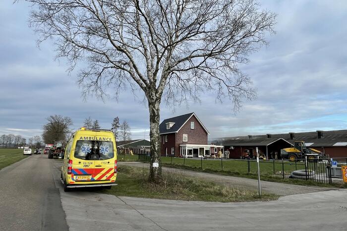 Grote brand in varkensstal