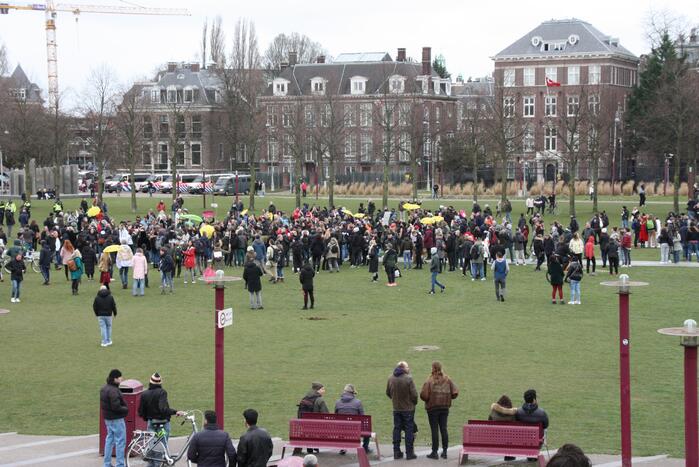 Opnieuw verzamelen demonstranten zich op het Museumplein