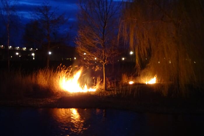 Stuk riet in brand gestoken