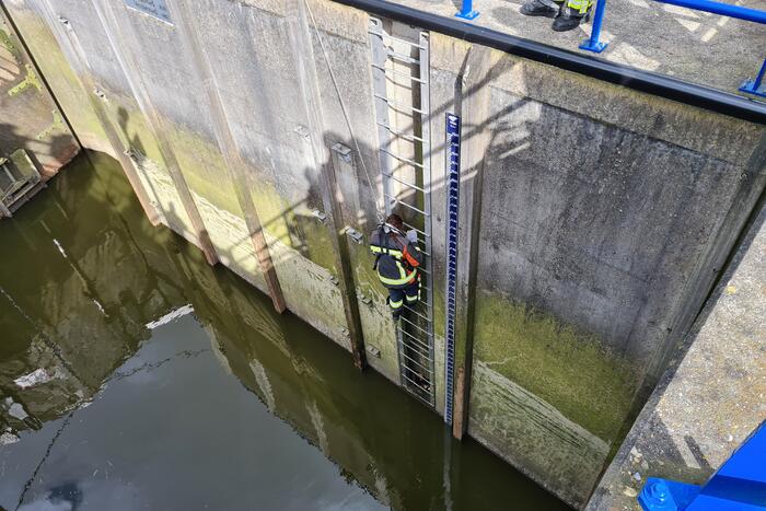 Brandweervrouw haalt kat uit sluistrap