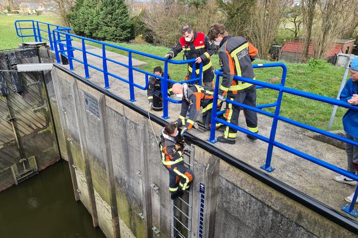 Brandweervrouw haalt kat uit sluistrap