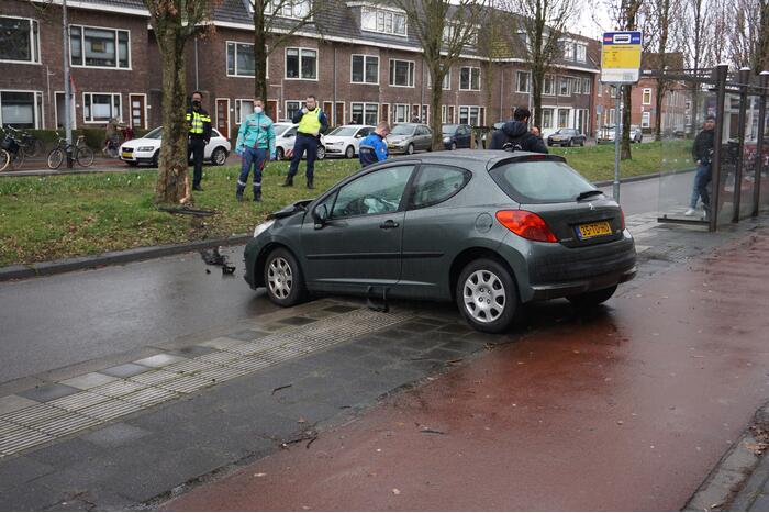 Personenauto botst tegen boom