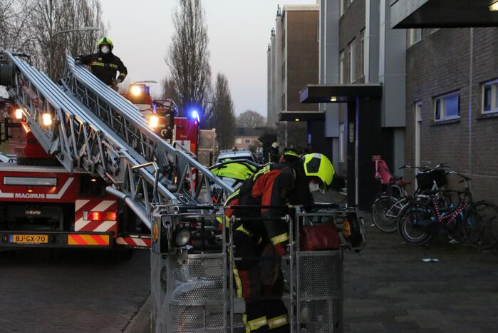 Brand in flatwoning