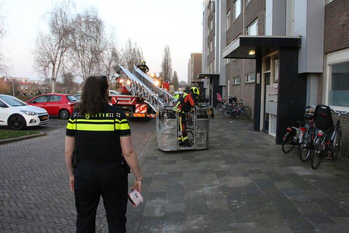 Brand in flatwoning