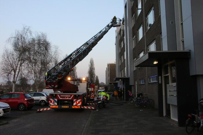 Brand in flatwoning