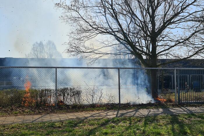 Brand ontstaan in berm