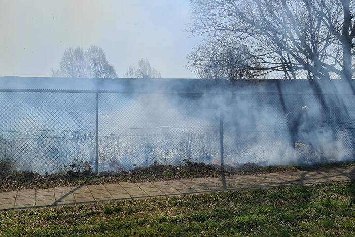 Brand ontstaan in berm