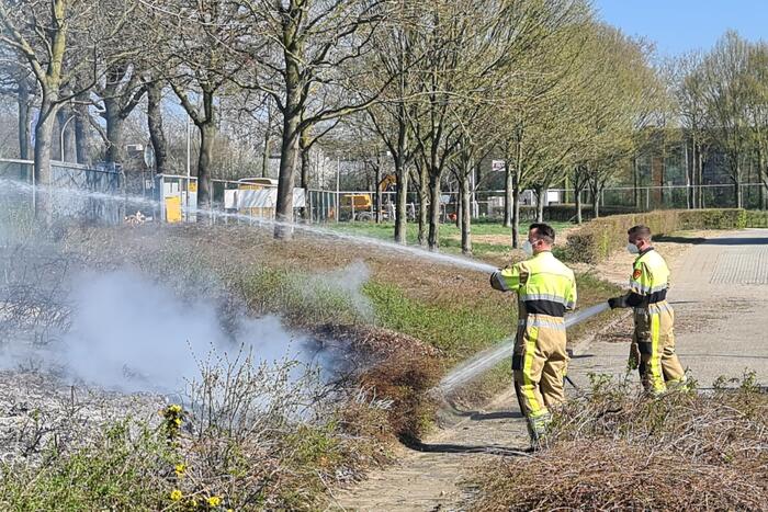 Brand ontstaan in berm