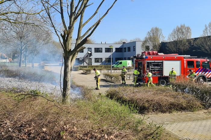 Brand ontstaan in berm